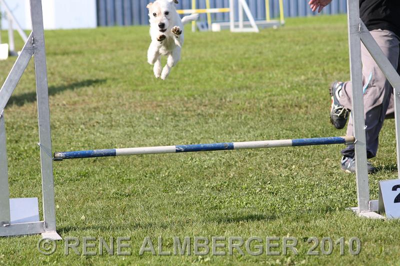 Bild 119.jpg